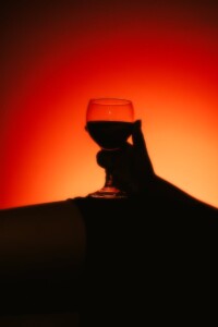 vino y sexo