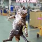 Foto del perfil de Bubu22