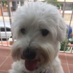 Foto del perfil de Hiro